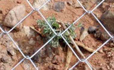 邊坡防護勾花網