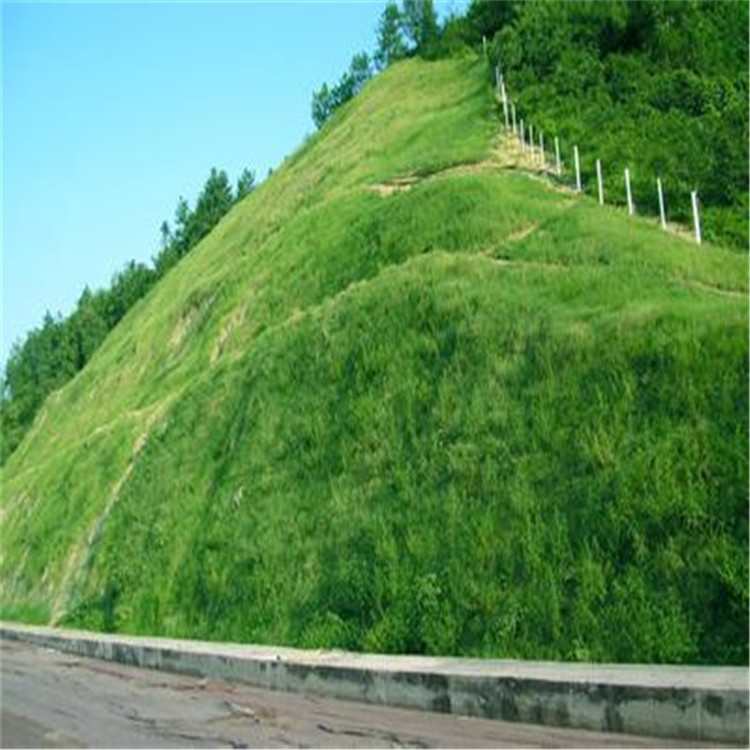 綠化護(hù)坡專(zhuān)用網(wǎng) 虎易網(wǎng).jpg