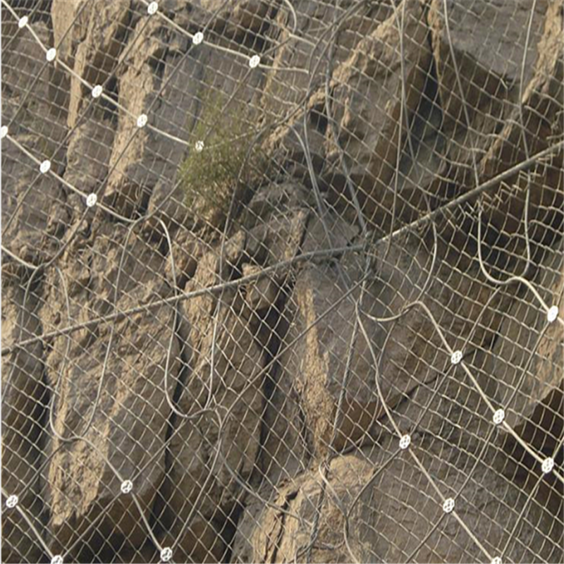 綠化專用邊坡主動防護網 列舉網.png 綠化專用邊坡主動防護網 列舉網.png