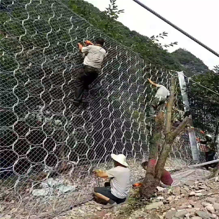 國標RXI-200型環形網.jpg 國標RXI-200型環形網.jpg